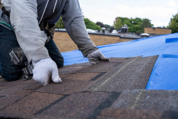 Best Slate Roofing Contractor  in Ridgeway, AK