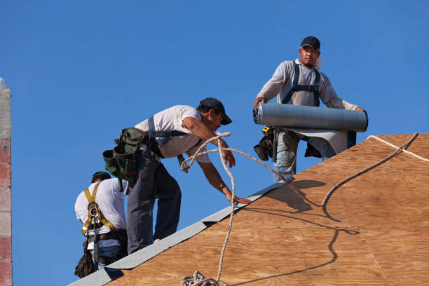 Best Storm Damage Roof Repair  in Ridgeway, AK