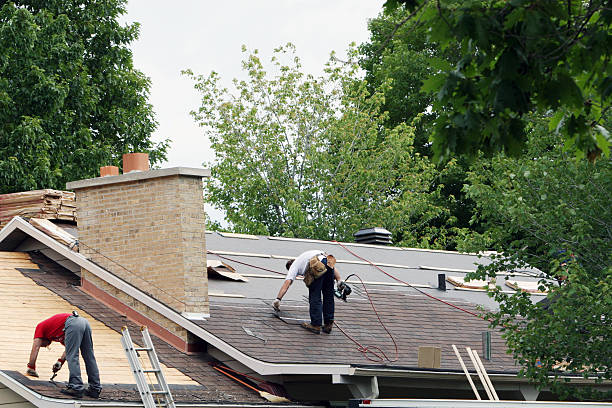 Best Metal Roofing Contractor  in Ridgeway, AK