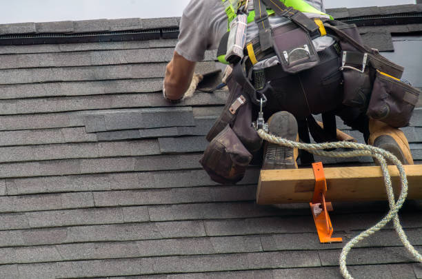 Best Metal Roofing Contractor  in Ridgeway, AK