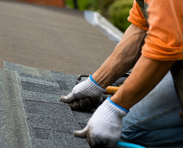 Best Roof Repair Specialists  in Ridgeway, AK
