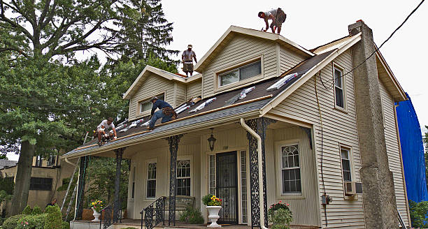 Best Roof Maintenance Services  in Ridgeway, AK