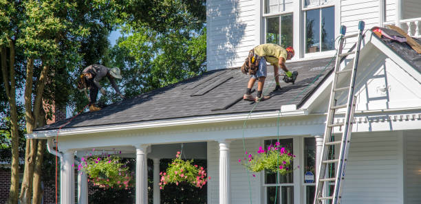 Best Shingle Roofing Installation  in Ridgeway, AK